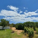 Photo taken by Mike T