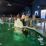 Photo taken by Sharon S