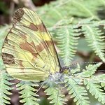 Photo taken by Todd M