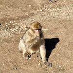 Photo taken by Alan L