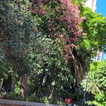 Photo taken by Arnie S