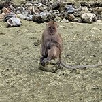 Photo taken by Chinwe O