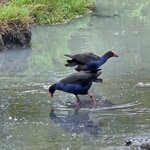 Photo taken by Rand M