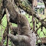 Photo taken by Jennifer G