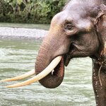 Photo taken by Judith D