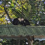 Photo taken by Jacob S