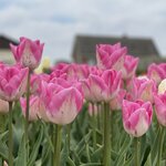 Photo taken by Shannon F