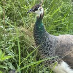 Photo taken by Stephen s