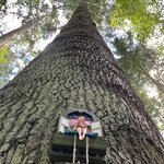 Photo taken by Marcos M