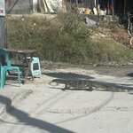 Photo taken by Diego U