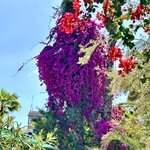 Photo taken by Alan L