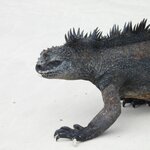 Photo taken by Patricia D