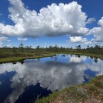 Photo taken by Debbie W