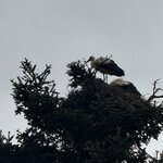 Photo taken by John Y