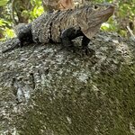 Photo taken by Kim L