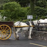 Photo taken by Jean M