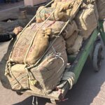 Photo taken by Jacki W