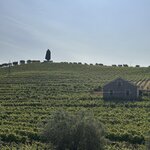 Photo taken by Lynn R