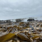 Photo taken by Sharnise H