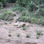 Photo taken by Yin Ling K