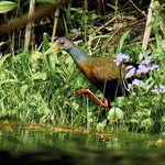 Photo taken by Mary D