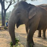 Photo taken by Aaron H