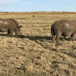 Gondwana Game Reserve | Photo taken by Missy C