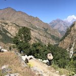 Photo taken by Amanda D