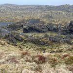 Photo taken by Tom B