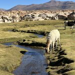 Photo taken by Mai S