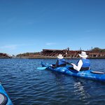 Photo taken by Anne F