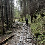 Photo taken by Sylvia S