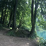 Photo taken by Jacci Z