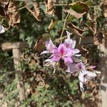 Photo taken by Jay H