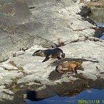 Photo taken by Richard P