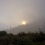 Photo taken by Alexandra G