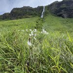 Photo taken by PETER S