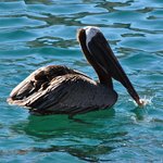 Photo taken by Natascia V