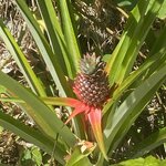 Photo taken by Alison R