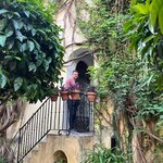 Photo taken by Joey R