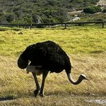 Photo taken by Michael Z