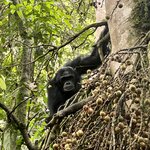 Photo taken by Fuad A