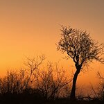 Photo taken by Janie W