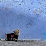 Photo taken by Kris C