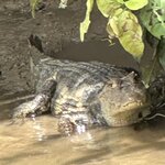 Photo taken by Bonnie Y