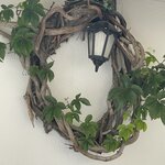 Photo taken by Kathleen S