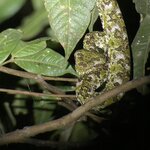 Photo taken by Susan D