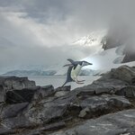 Photo taken by SANDRA V