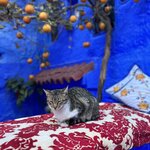 Photo taken by Zhou Z