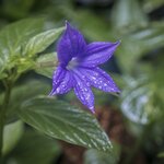 Photo taken by Linda W